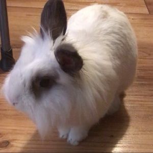 Meet your Posher, Joanna